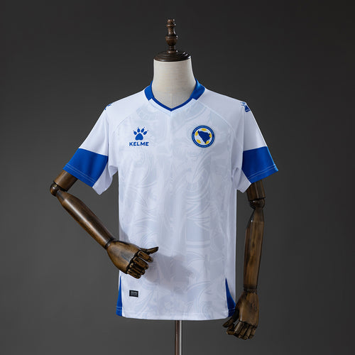 Bosnia and Herzegovina WC2026