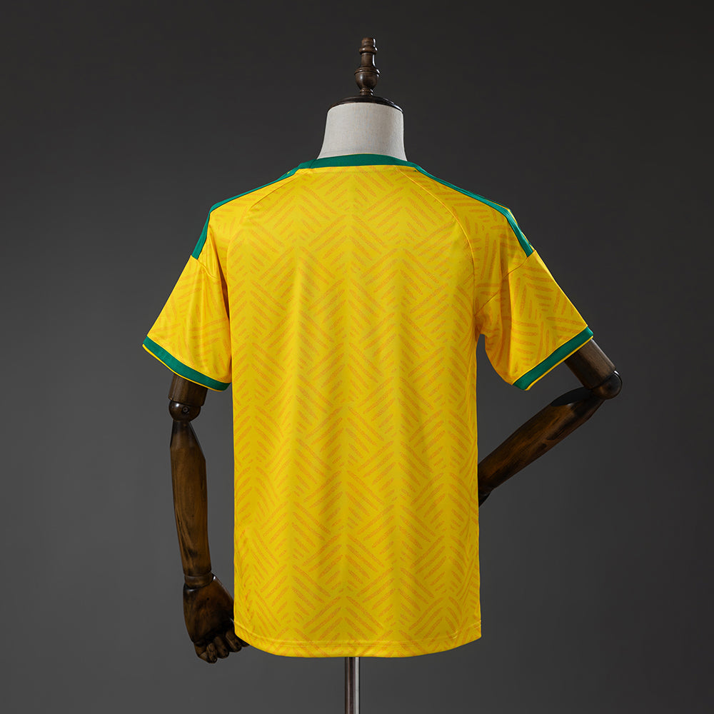 South Africa WC2026